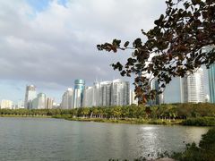 -万绿园
