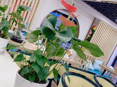 -老苏州大客堂·苏帮菜·松鼠桂鱼·苏州传统小吃(观前街人民商场店)