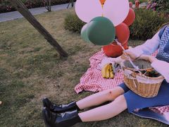 -铁山坪森林公园