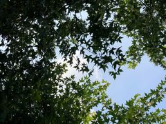 -云龙山