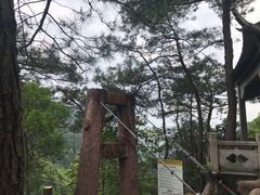 -遂昌金矿国家矿山公园