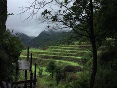 石台牯牛降-石台牯牛降景区