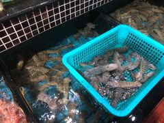 -海大大蒸汽海鲜餐厅·粤菜·特色小炒(欢乐颂店)