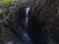 -大余丫山旅游度假区