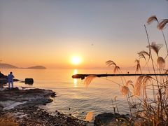 -上海市保健医疗中心