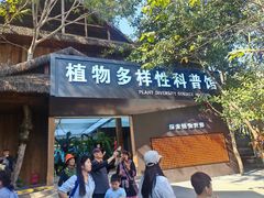 -西双版纳原始森林公园