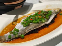 麻椒鱼-西湖春天•老字号杭州菜(百汇店)