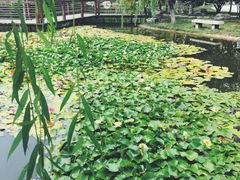 -陕西华浮宫酒店(未央湖公园店)