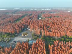 -东平国家森林公园