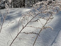 -亚布力新体委滑雪场