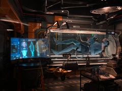 -奥兰多迪士尼动物王国乐园