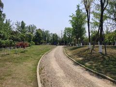 -白鹭湾湿地公园