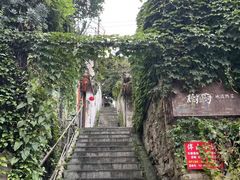 -树厨贵州菜(铜仁花果山店)