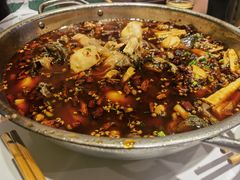-黑竹香鸡(营和巷店)