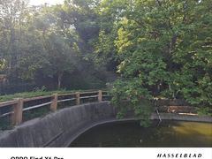 -石老人观光园
