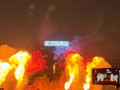 -武汉园博园(武汉自然博物馆)