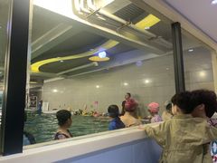 -BlueBubble蓝泡泡婴幼儿游泳会所(合川路店)