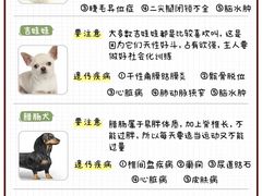 -FAELING PETS美天灵宠物(富力广场店)