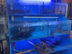 -韩妹鱼庄·泸定老字号(泸定店)