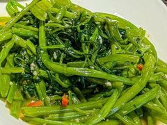 -炆艺乳鸽·煲仔饭大排档(望京来广营店)