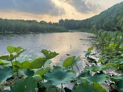 -同里国家湿地公园