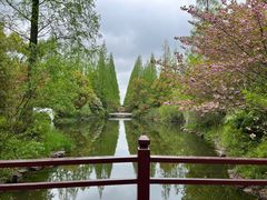 -东平国家森林公园