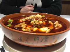 麻辣馋嘴蛙-渝信川菜(华盛店)