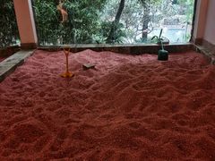 -融汇温泉