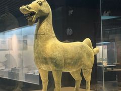 -合浦汉代文化博物馆