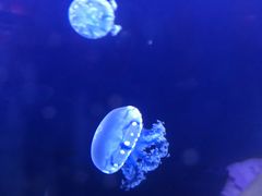 -五缘湾悦都汇购物中心