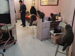 -我爱猫咪·猫咖·狗咖·安哥拉兔·羊驼咖(小寨华旗店)