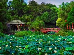 -广州莲花山旅游区