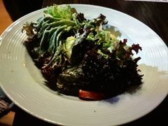 -The Cheebat 锌吧·Bistro(体育西店)
