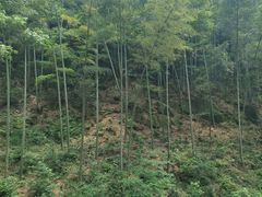 -梅岭月亮湾山体公园