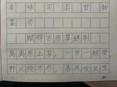 -赵汝飞练字硬笔书法(静安大融城校区)