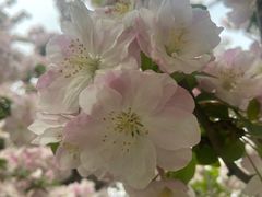 -元大都城垣遗址公园