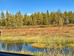 -莫尔道嘎国家森林公园