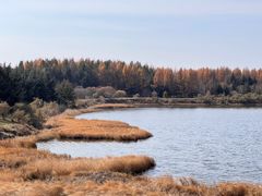 -塞罕坝国家级自然保护区