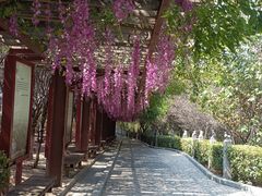 -西安汉城湖景区