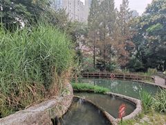 -成都市活水公园
