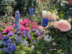 -人民公园(罗湖区)