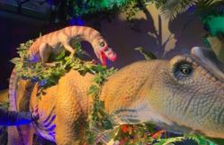 -恐龙探索乐园(磁器口店)