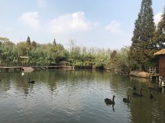 -溱湖国家湿地公园