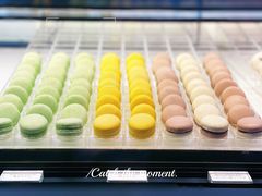 -BLACKSWAN黑天鹅(环球店)