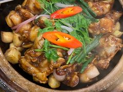 -永記粤菜·五指毛桃花雕鸡煲(九亭店)