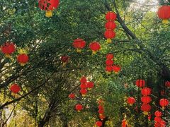 -美的鹭湖探索王国