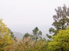 -东山风景区(洞庭东山)