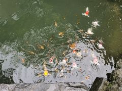 -新荣记(西溪湿地店)