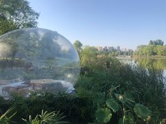 -Supine Bistro溯泮餐厅