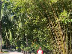 -三亚湾海居铂尔曼度假酒店